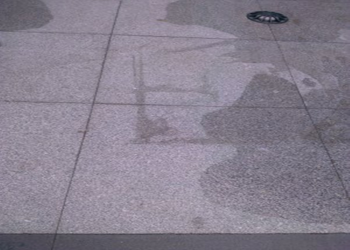 油斑